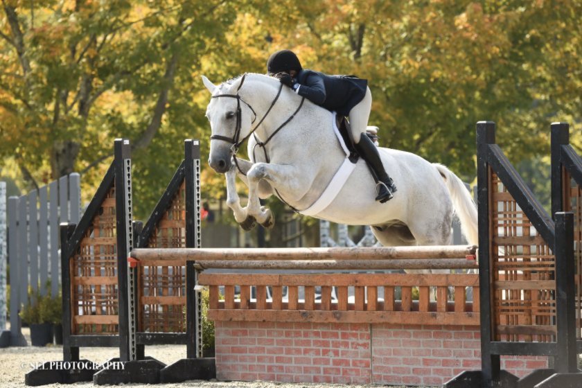Holly Orlando and Fable Clinch the Championship of the Combined Performance Hunters