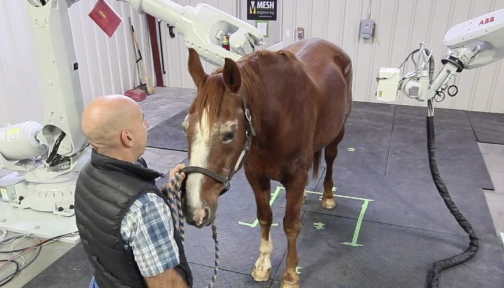 Prisma Commits to Supporting Brooke USA by Pledging to Donate a Percentage of Income