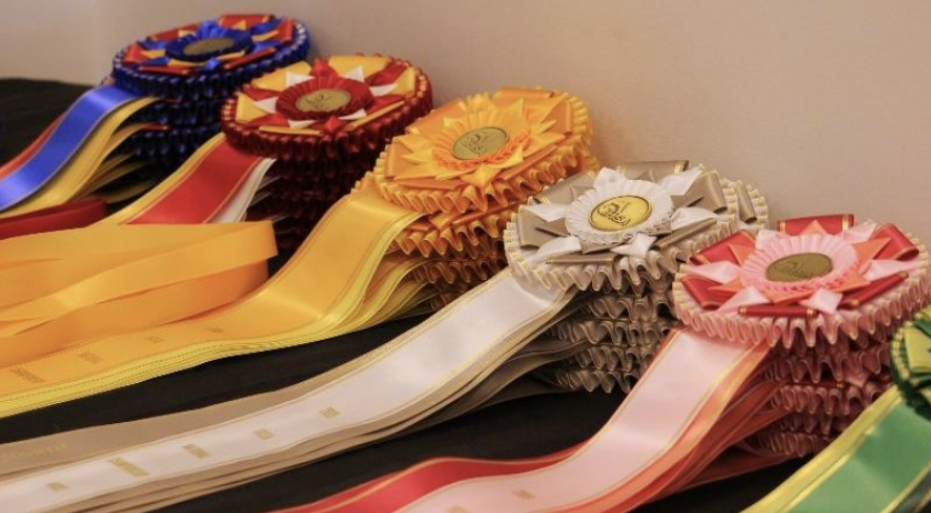 THE IHSA SEEKS MEMBERS FOR NEW DIVERSITY, EQUITY AND INCLUSION COMMITTEE