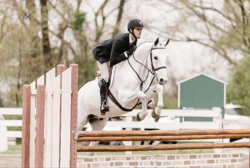 ANRC Presents Take it Forward Virtual Clinic and Horse Show Series