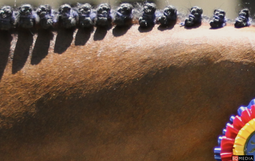 Mane ’n Tail to Present $5,000 USHJA National Hunter Derby at Old Salem Farm September Fall Horse Show