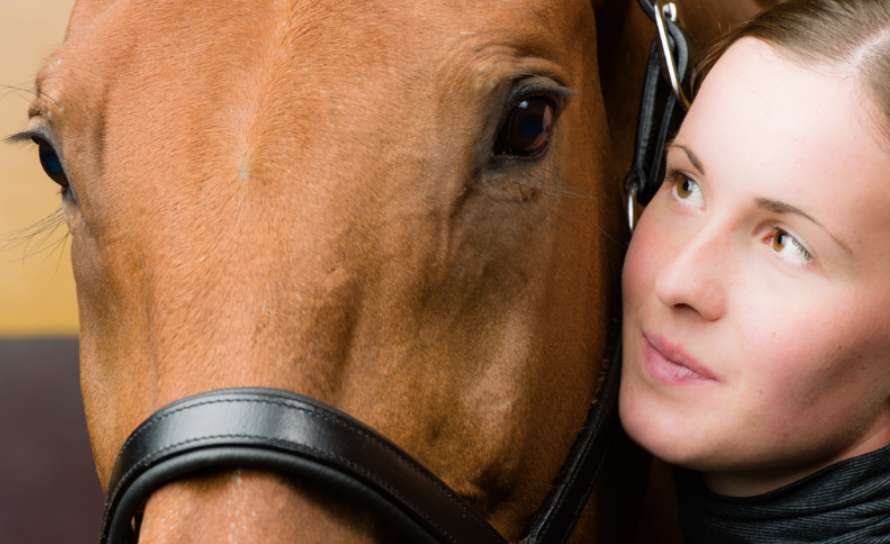 Prisma | The Next Generation of Equine Imaging Technology