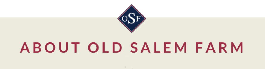 Screen Shot 2021-03-01 at 7.49.37 PM.png