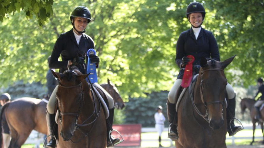 Connect for Work at Horse Shows with ShowAssist