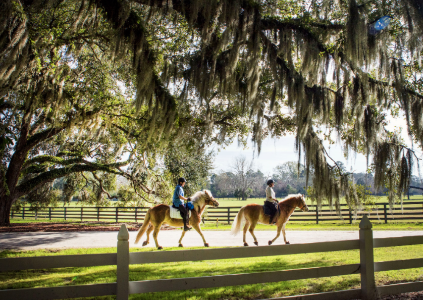 Enjoy the riding life at this coastal sporting community