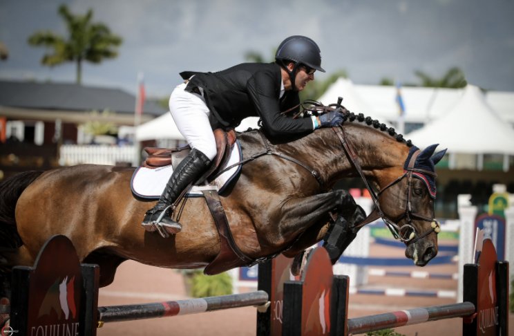 Orbetello Sails Through Hanoverian Approval With Top Scores