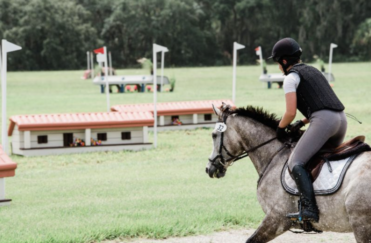 Watch the Livestream of The Event at TerraNova Provided by Equestrian Digital