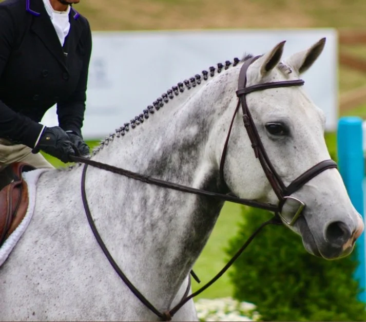 Tentative Schedule for TerraNova Spring Series Now Available