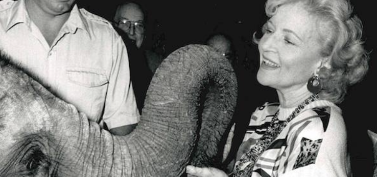 Betty White's Legacy of Love | The EQ Inner Circle