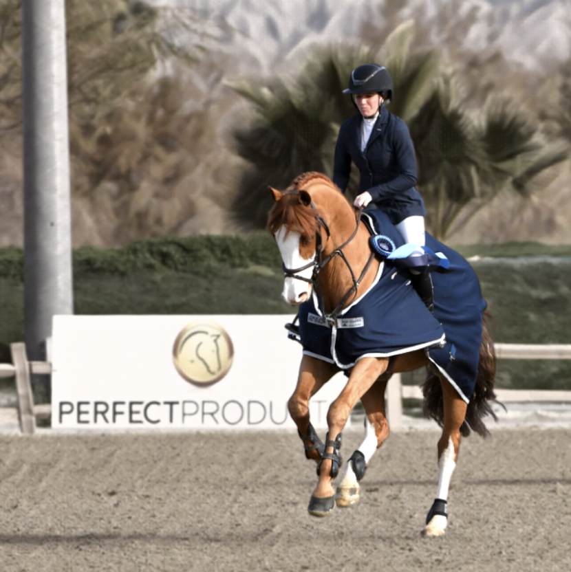 IHSA Partners with Perfect Products as the Official Horse Supplement Supplier