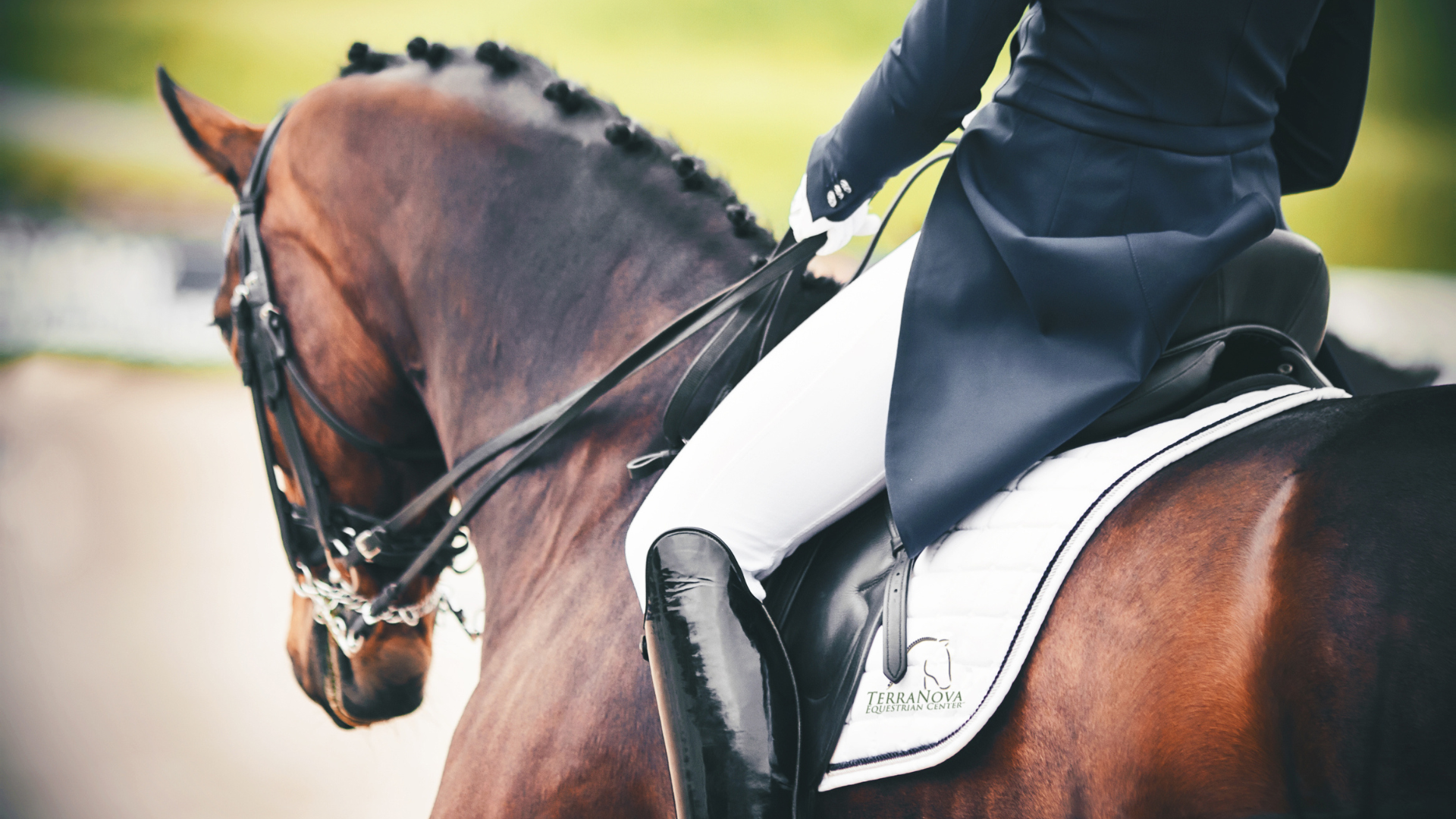 Mark Your Calendars | Upcoming Events at TerraNova Equestrian Center