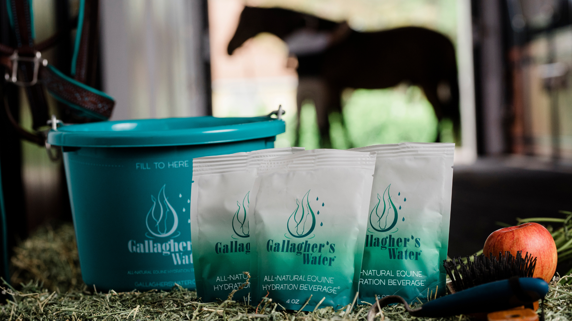 5 Tips to Keep Your Horse Hydrated this Summer