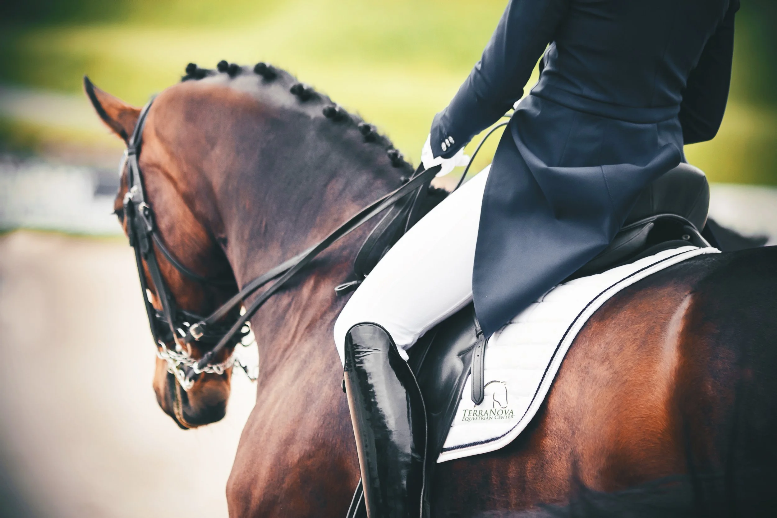 TerraNova Dressage II CDI4*/CDI-W Entries Close Oct. 14