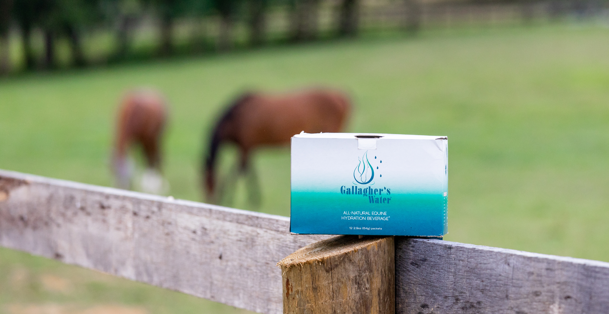 Gallagher's Water Now Available on TractorSupply.com