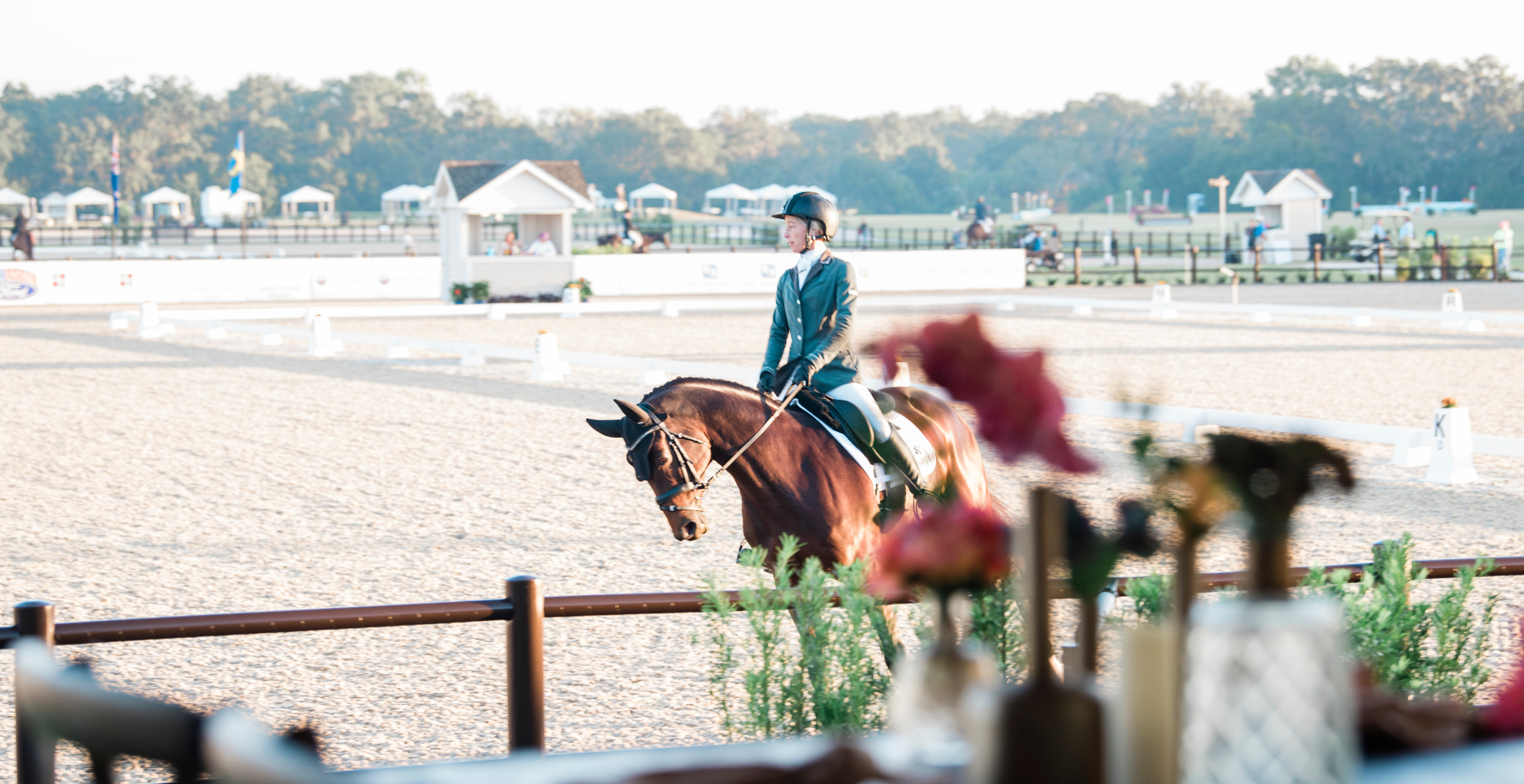 Reserve Your VIP Experience at The Event at TerraNova CCI4*-S and TerraNova Dressage II CDI4*/CDI-W