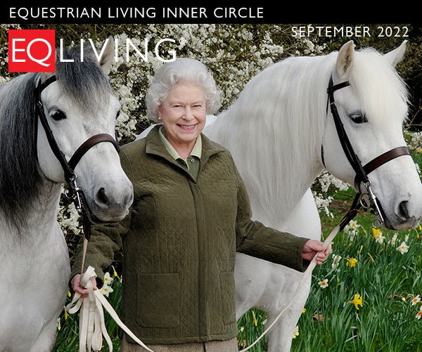All the Queen's Horses | The EQ Inner Circle