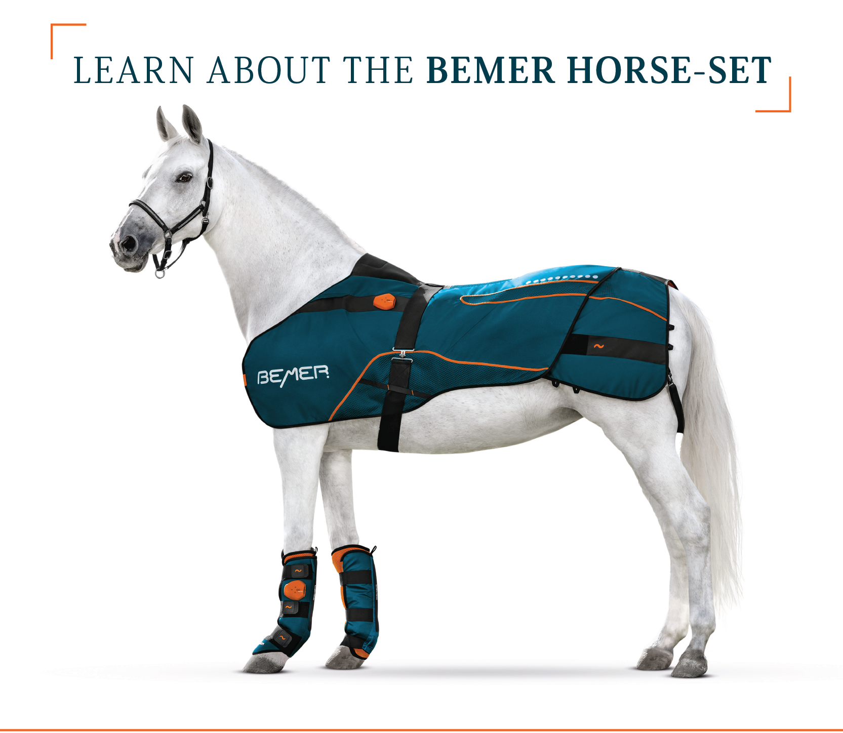BEMER November Newsletter