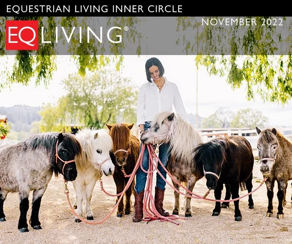 $1200 Horse Sneakers? | The EQLiving Inner Circle