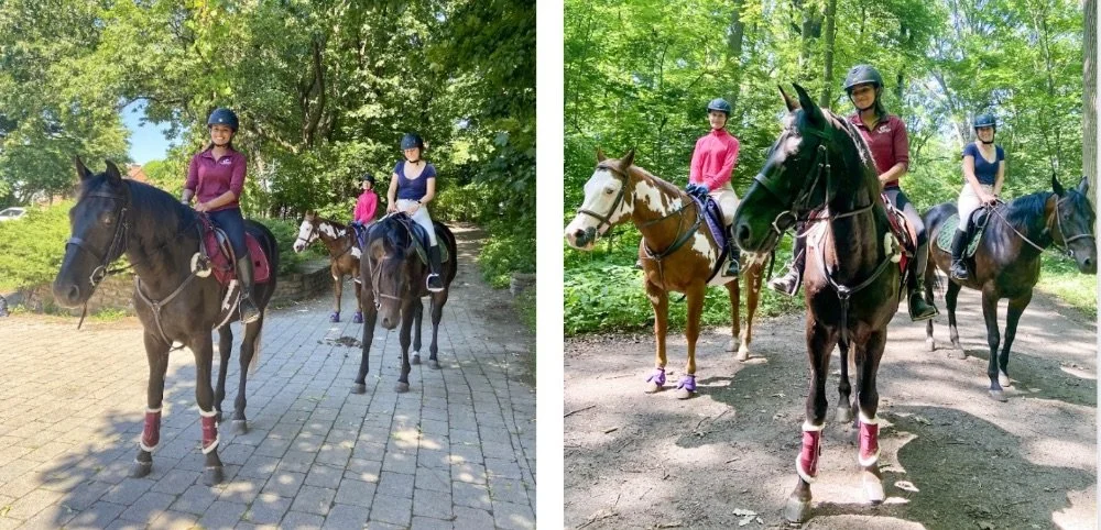 GallopNYC Trot on Times August 2022
