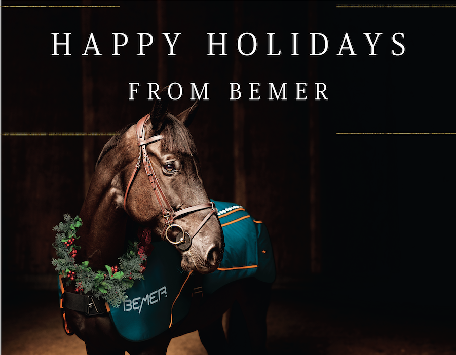 BEMER December Newsletter