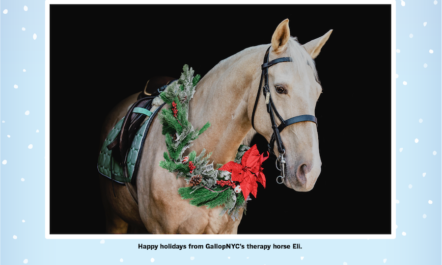 Support GallopNYC on National Day of the Horse