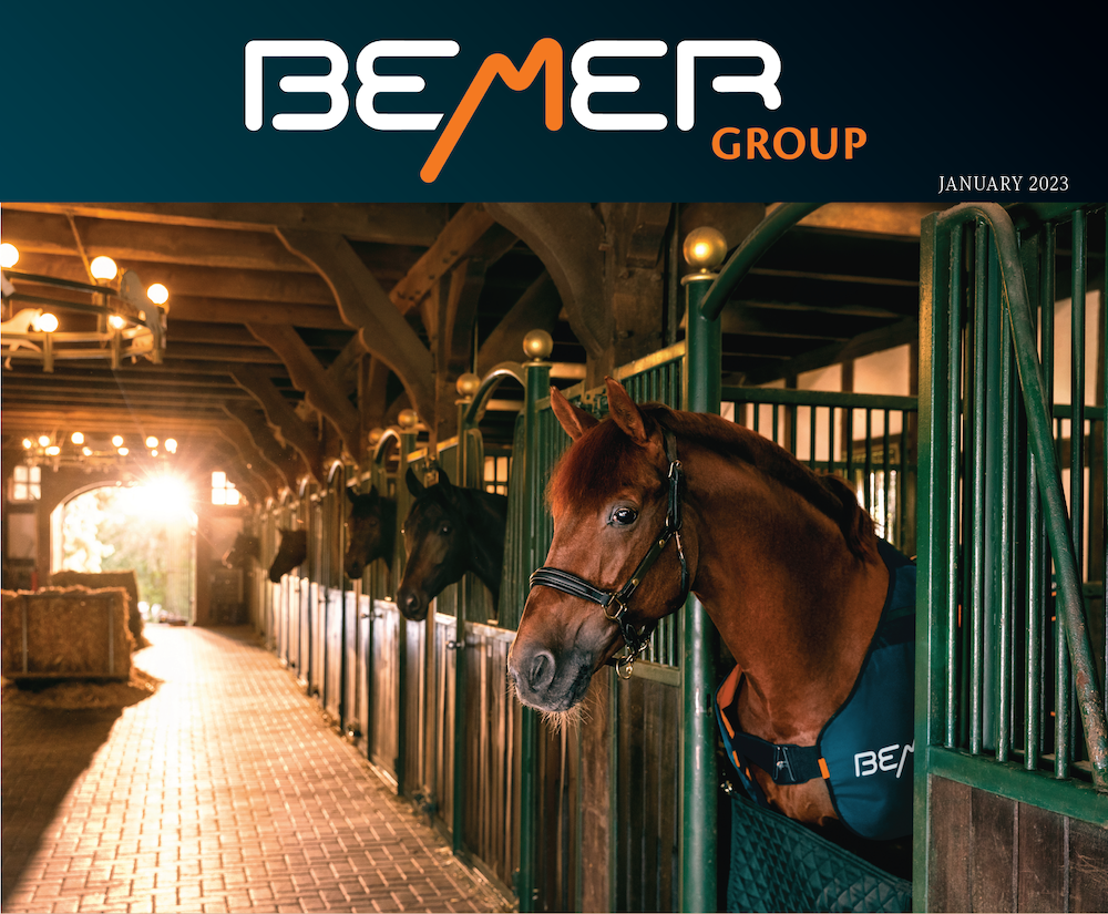 BEMER January Newsletter