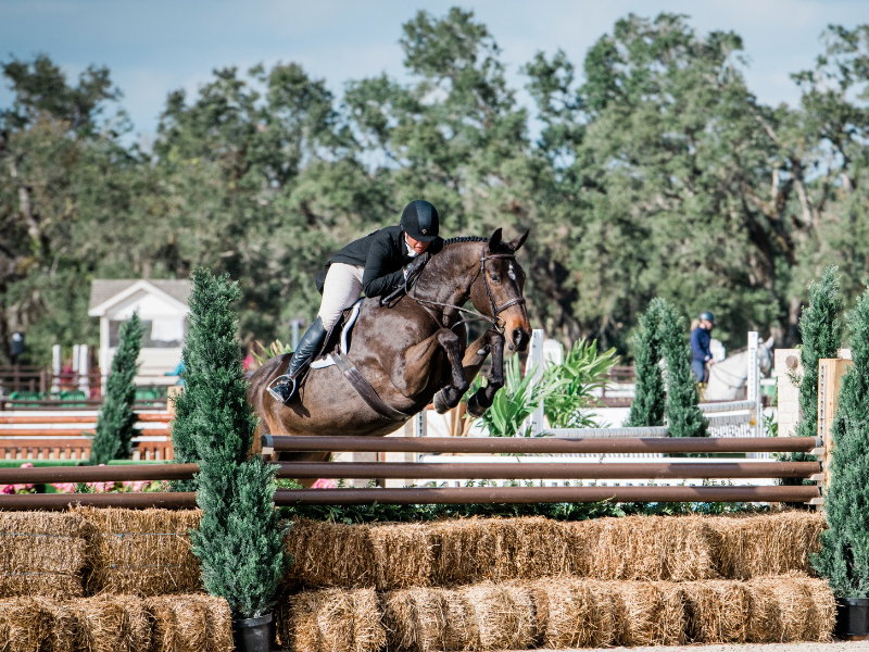 Jennifer Alfano and Next Victorious in the $25,000 USHJA International Hunter Derby at Sarasota Winter Classic, Hosted by TerraNova Equestrian Center