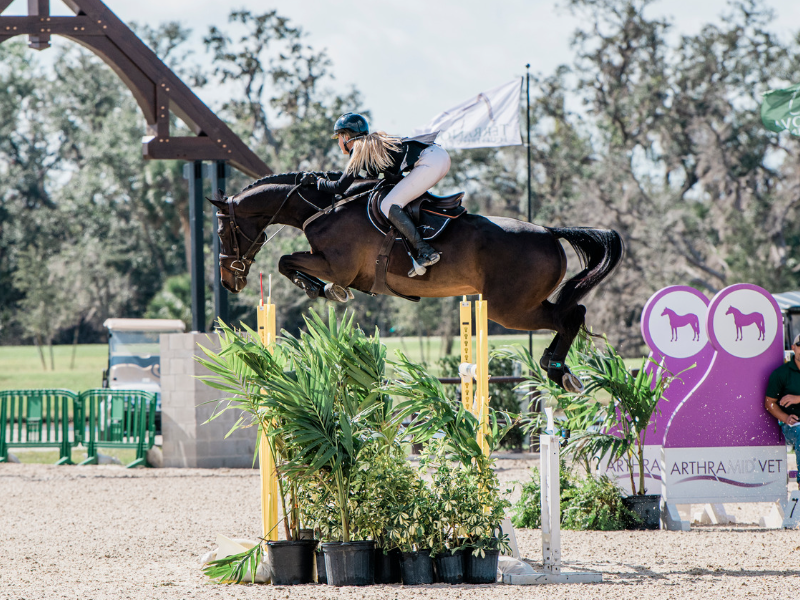 Kristen VanderVeen and Bull Run’s Jireh top the $50,000 Grand Prix of Sarasota, Hosted at TerraNova Equestrian Center