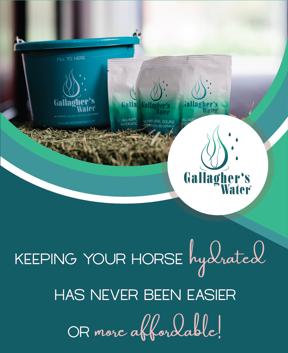 Keeping Your Horse Hydrated has Never Been Easier or More Affordable!