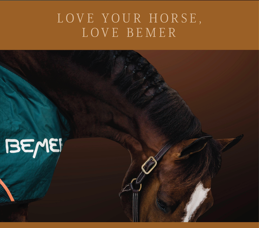 BEMER February Newsletter