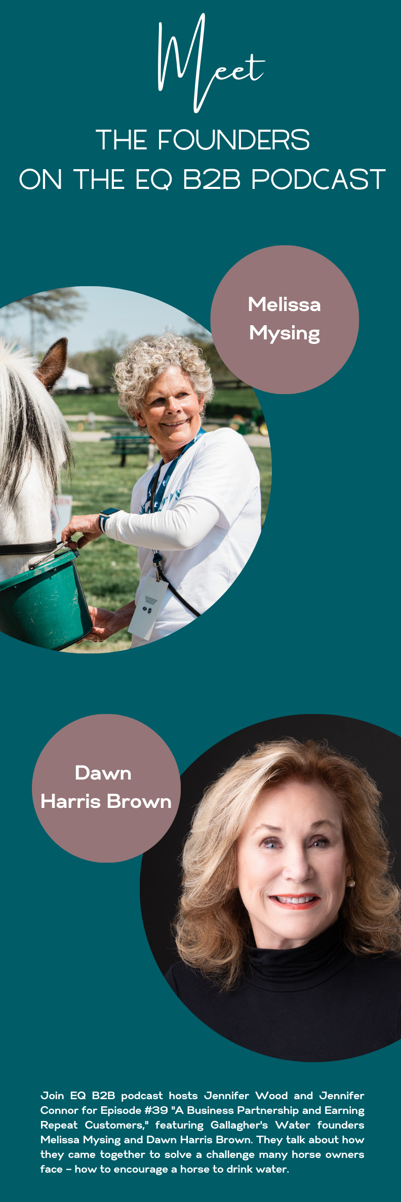 Meet the Founders of Gallagher's Water on the Equestrian B2B Podcast