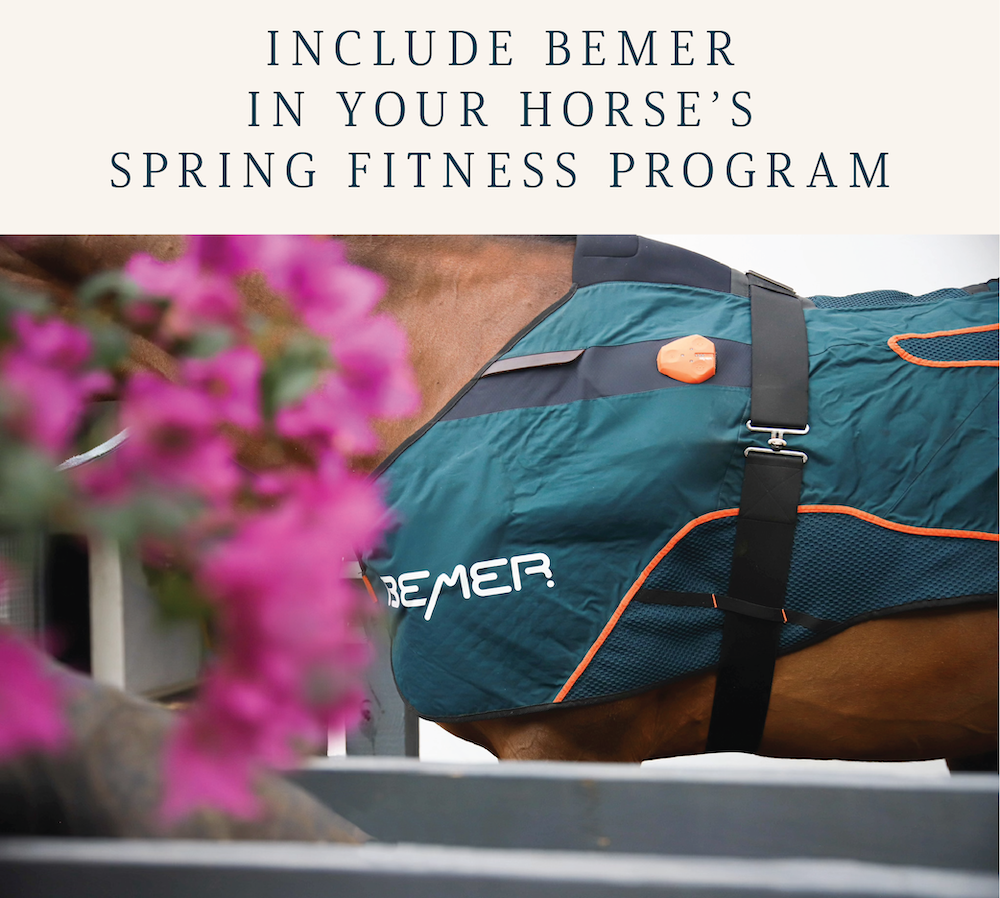 Include BEMER in your horse's spring fitness program