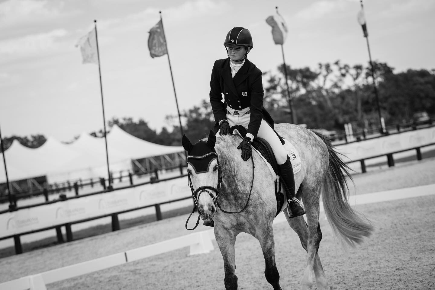 CCI4* dressage took over @terranova_eq on the first day of The Event at TerraNova. 

@fei_eventing 
@usequestrian 
@useventing 

#eqmedia #terranovaequestrian #theeventatterranova #feieventing #fei #eventing #dressage #horseshow #horseshowphotography