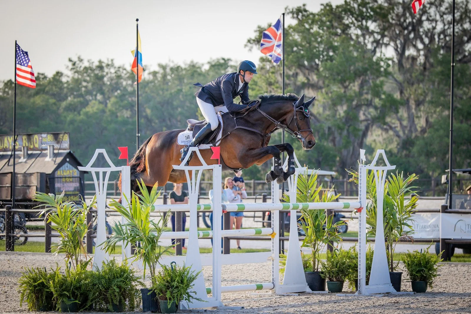 Will Coleman and Chin Tonic HS Lead the Way to Cross-Country in The Estates at TerraNova CCI4*-S