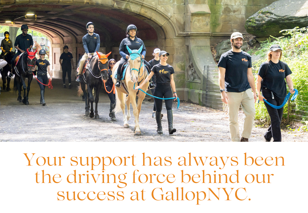 Your Support is the Driving Force Behind GallopNYC's Success