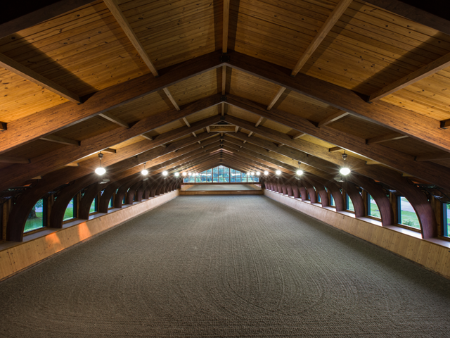 Are Your Horses Feeling the Heat?