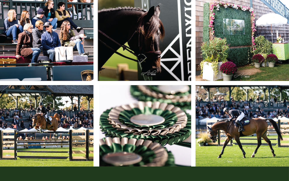 Support GallopNYC at the CSI5* Grand Prix at Greenwich