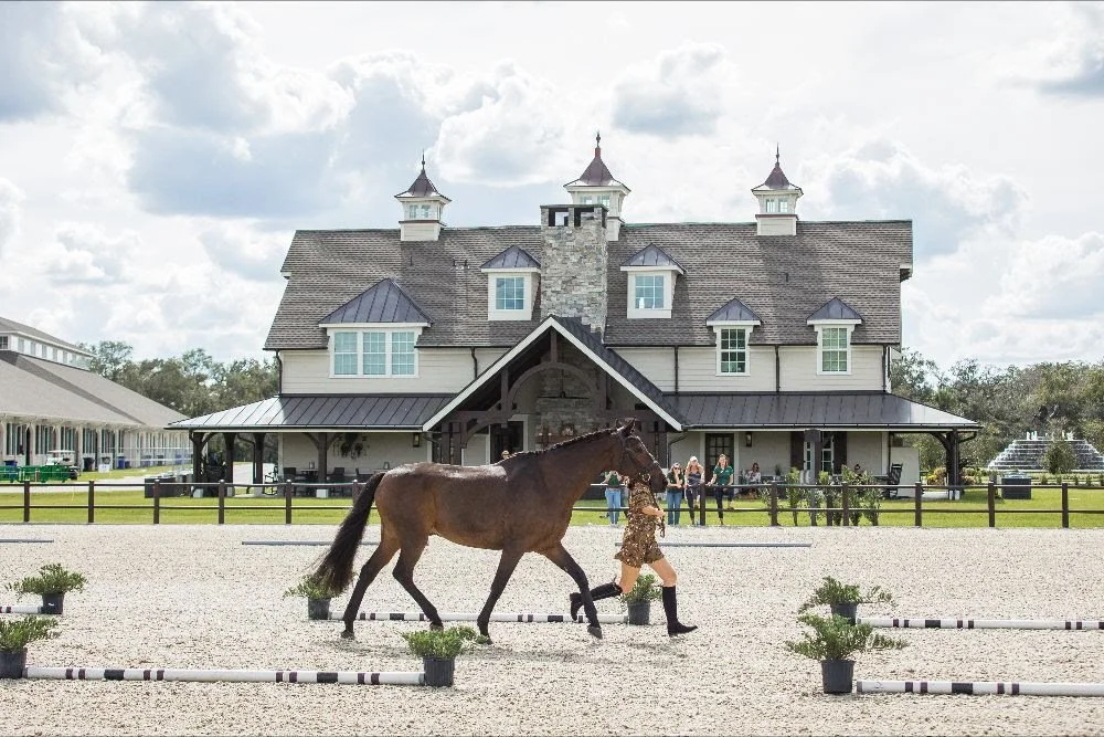 TerraNova Equestrian Center Delights Top-Notch Dressage Riders
