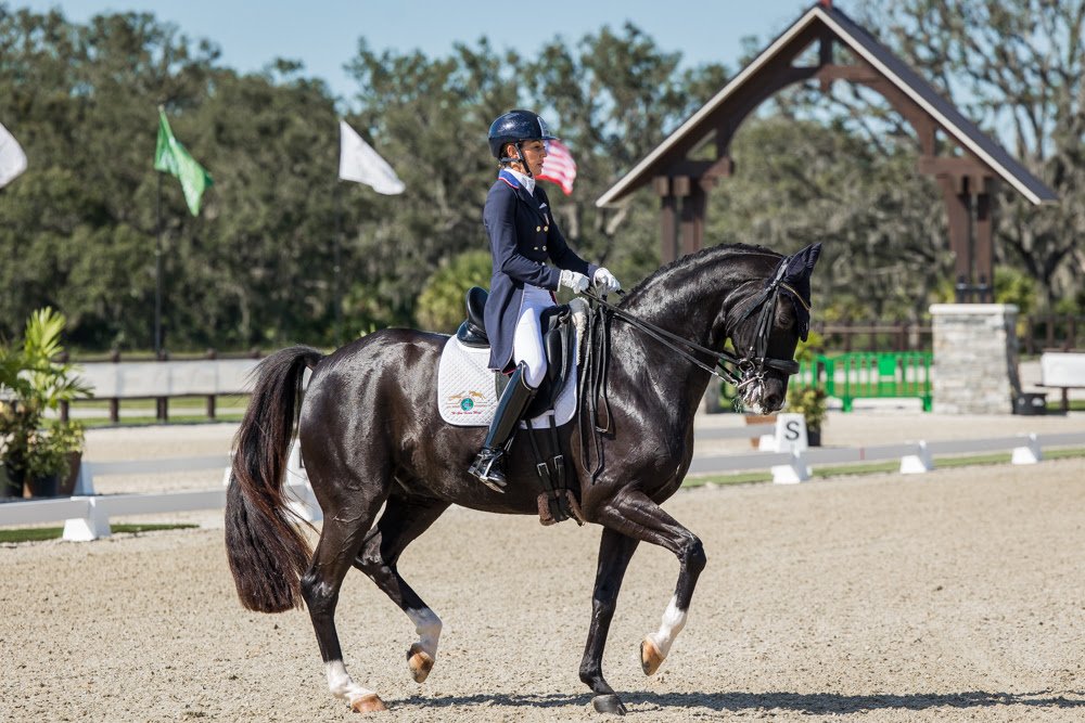 Susan Dutta and Kevin Kohmann Triumph at TerraNova Dressage II CDI3*/CDI-W
