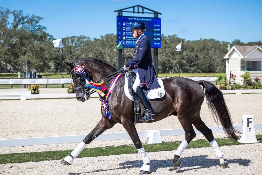 TerraNova Dressage II CDI3*/CDI-W