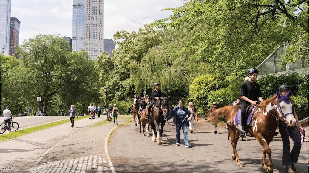 Join us for the GallopNYC Winter 2024 Happy Hour Fundraiser