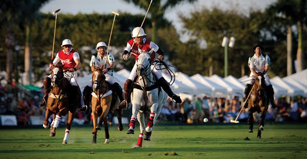 How well do you know the rules of polo? | The EQLiving Inner Circle