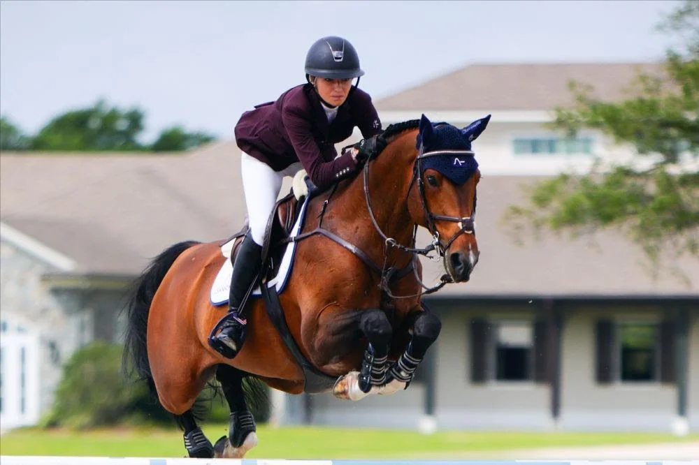 Media Alert: TerraNova Equestrian Center Hosts Riders from Eight Countries for TerraNova Winter Series IV