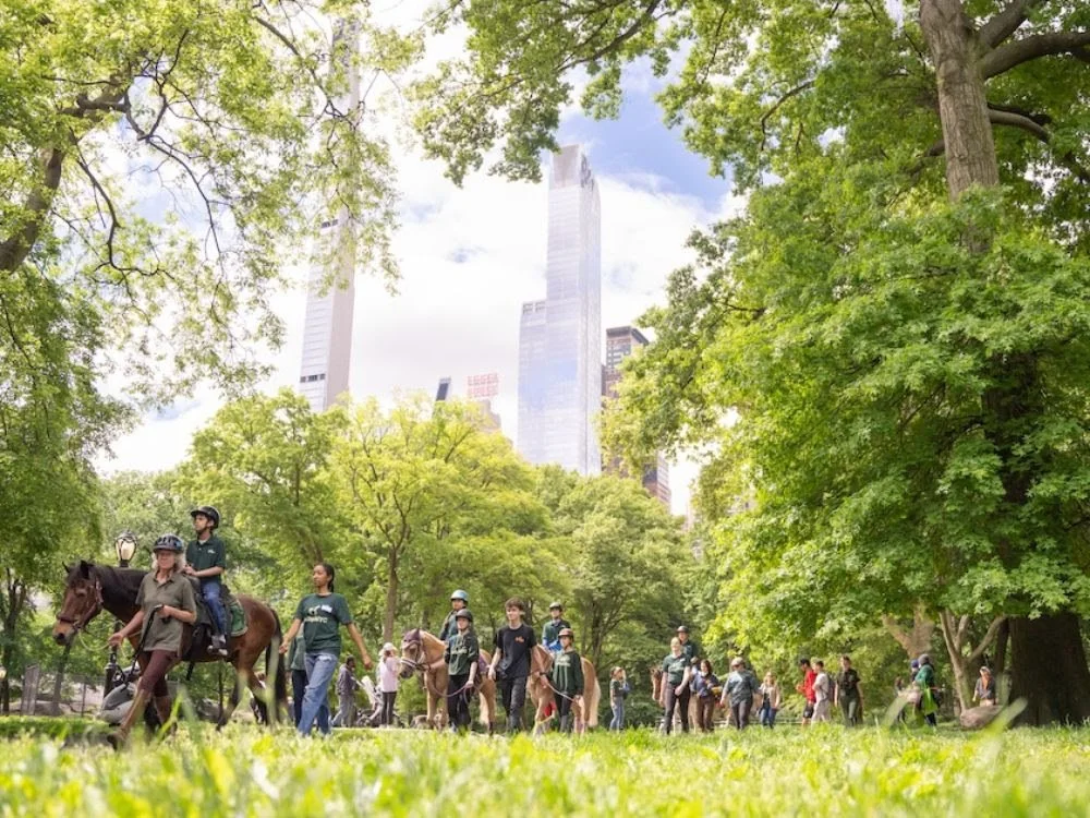 GallopNYC Community Enjoys the Central Park Promenade