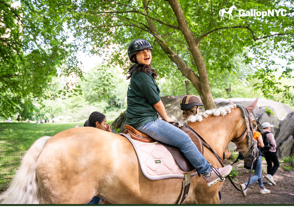 Thankful for your Generous Support of the GallopNYC Central Park Promenade