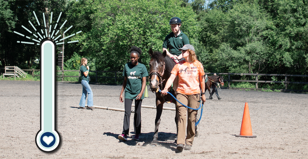 Celebrating Your Impact: GallopNYC's Fundraising Campaign Success!