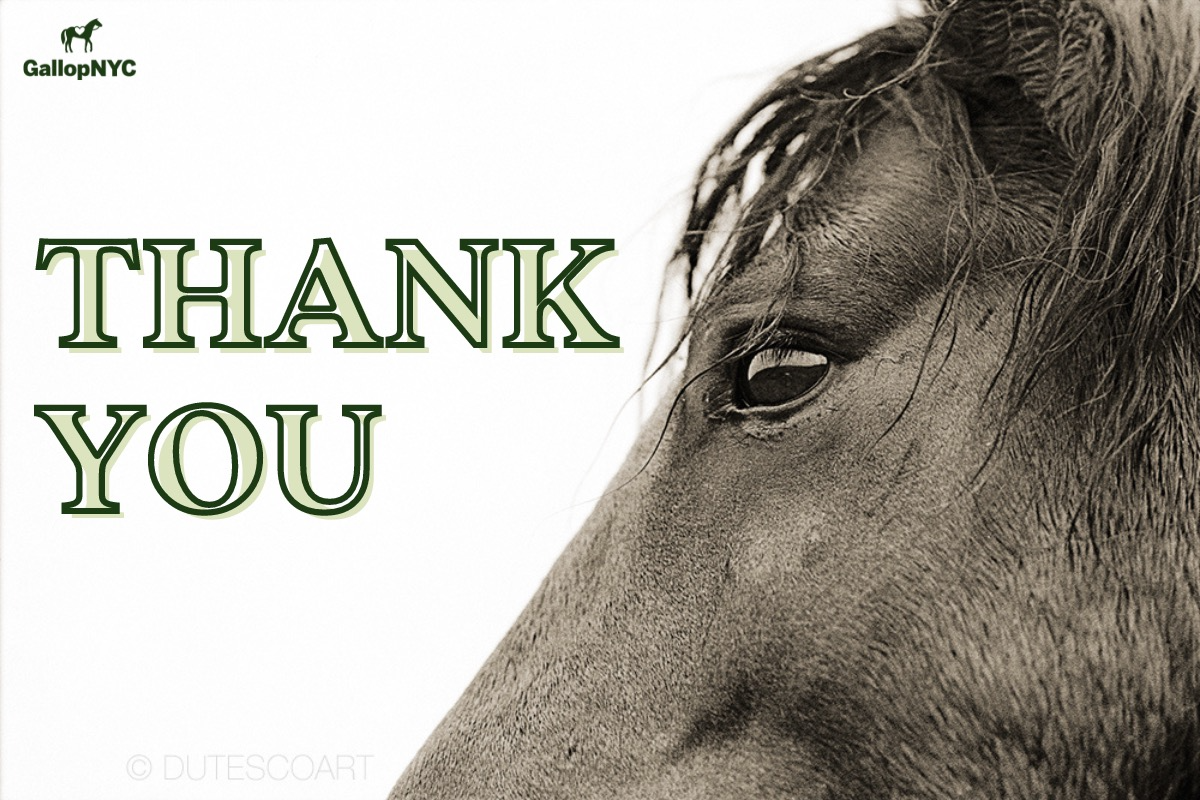 Thank You for Your Support of GallopNYC at Robert Dutesco's The Wild Horses of Sable Island