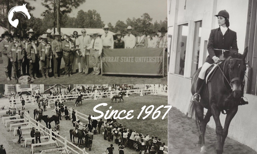 Be Part of the IHSA Legacy – A First-Time Opportunity