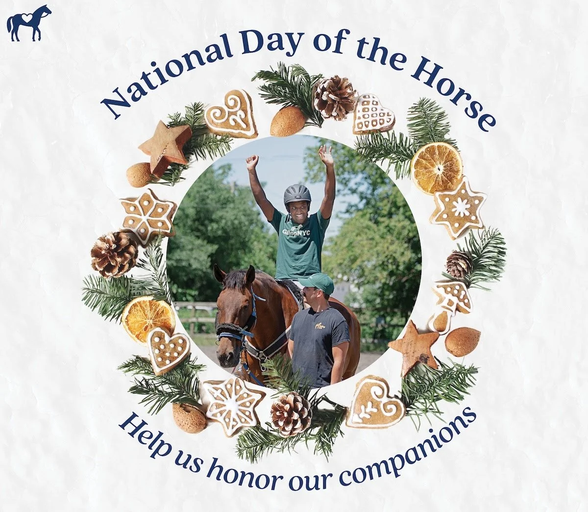 Celebrate the Majesty of Horses: National Day of the Horse