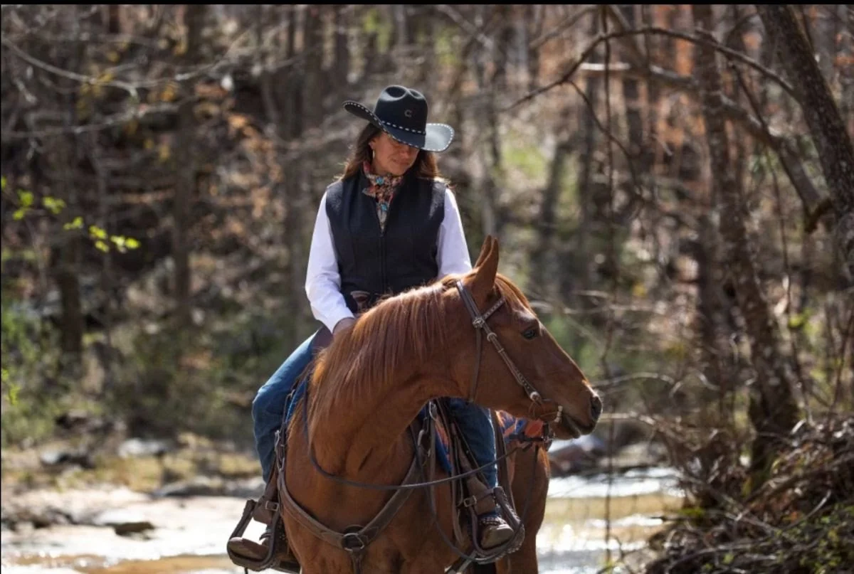 Luxury Trail Horses-A Trail Rider's Dream